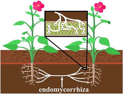 Integration of Nanobots Into Neural Circuits As a Future Therapy for Treating Neurodegenerative Disorders